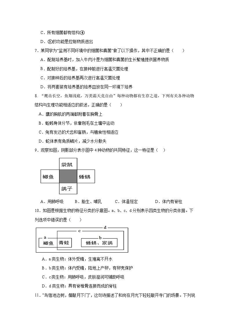 湖北省天门市华斯达学校2024-2025学年八年级上学期九月考试生物试题02