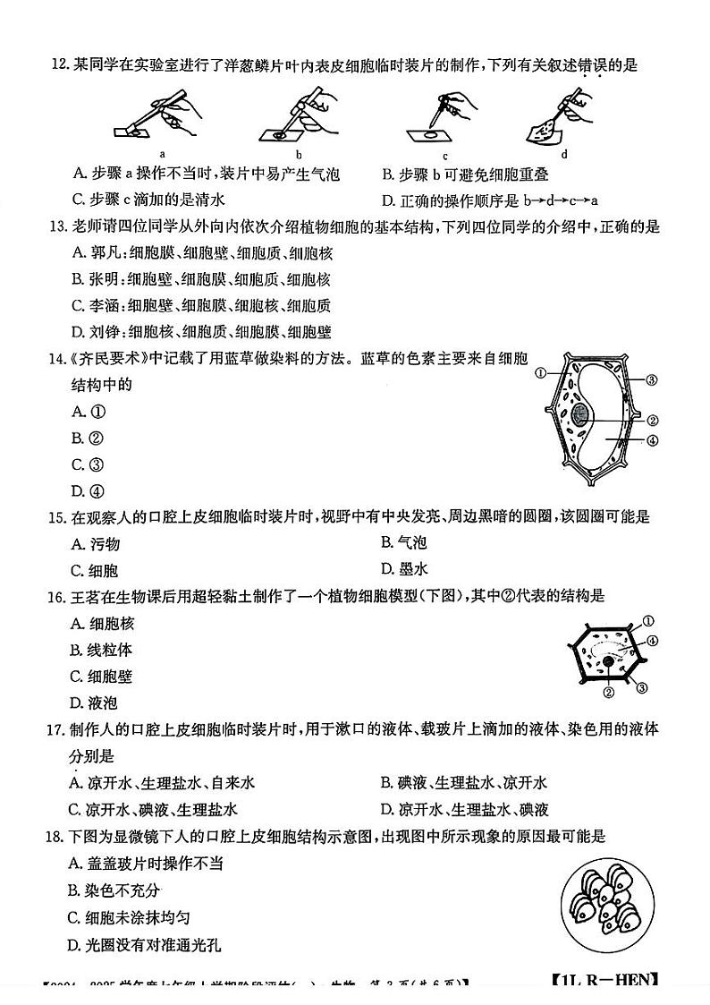 河南省郸城县多校2024-2025学年七年级上学期第一次月考生物试卷第3页