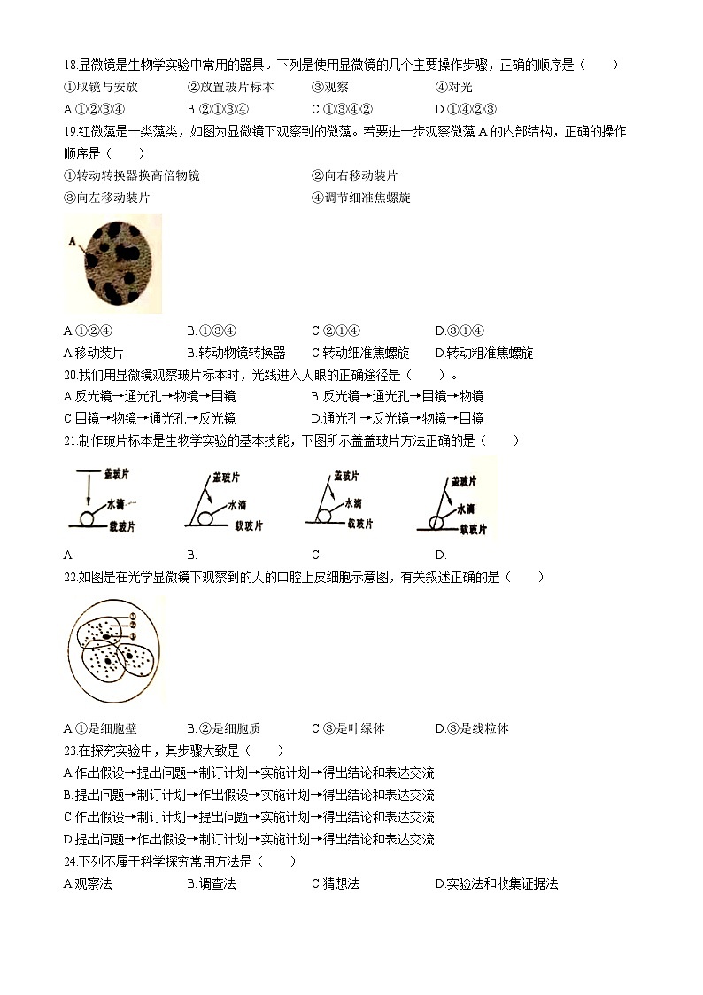 云南省文山壮族苗族自治州文山市第三中学2024-2025学年七年级上学期9月月考生物试题03
