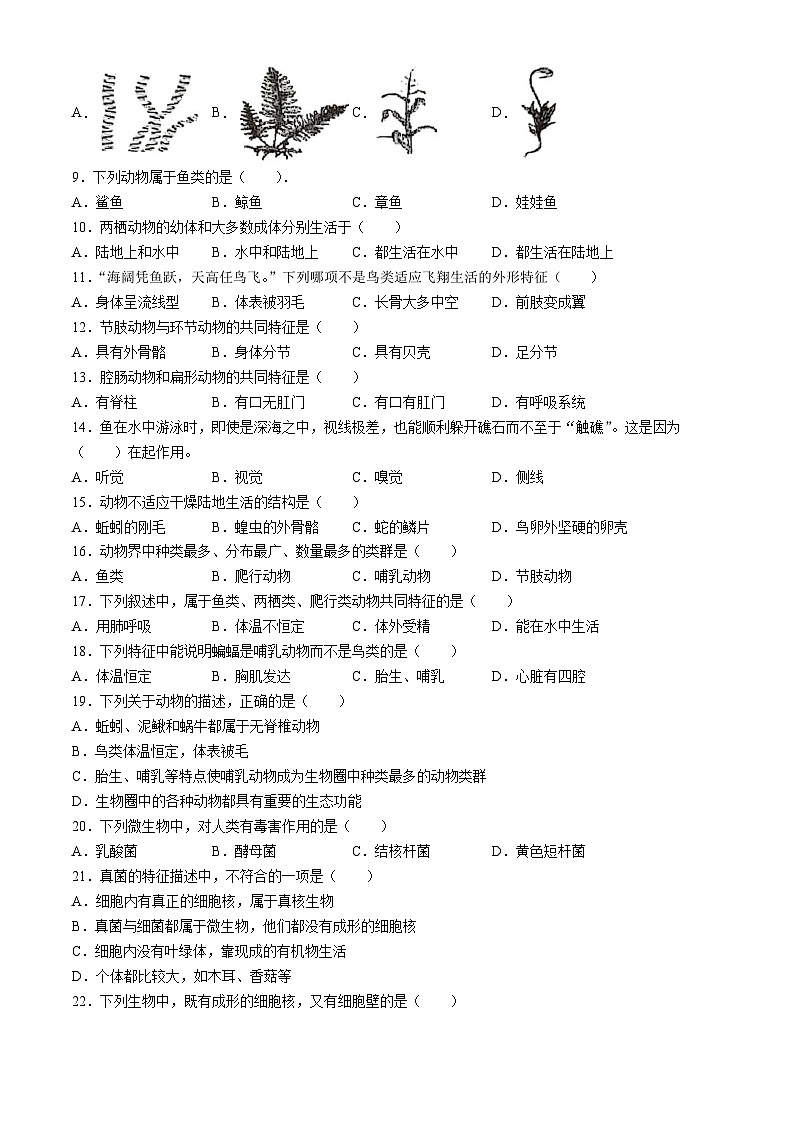 云南省文山壮族苗族自治州文山市第三中学2024-2025学年八年级上学期9月月考生物试题第2页