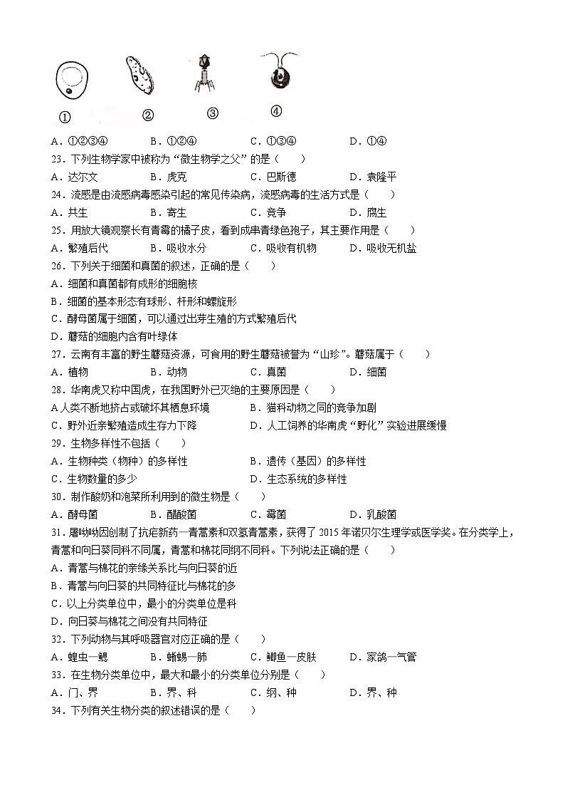 云南省文山壮族苗族自治州文山市第三中学2024-2025学年八年级上学期9月月考生物试题第3页