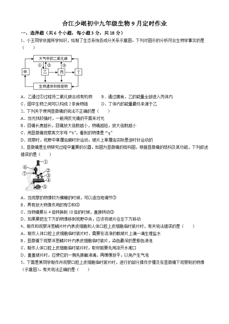 四川省泸州市合江县少岷初中2024-2025学年九年级上学期9月月考生物试题(无答案)01