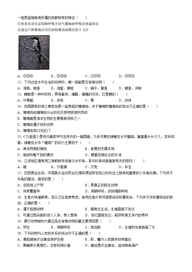 黑龙江省哈尔滨市双城区乐群乡中学2024-2025学年八年级上学期9月月考生物试题第2页
