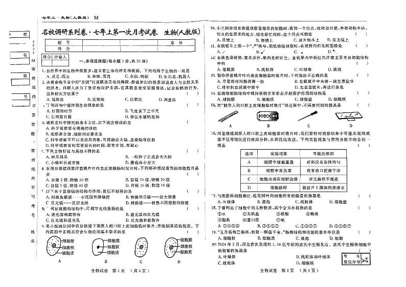 吉林省吉林市江城中学2024-2025学年七年级上学期第一次月考生物试卷第1页
