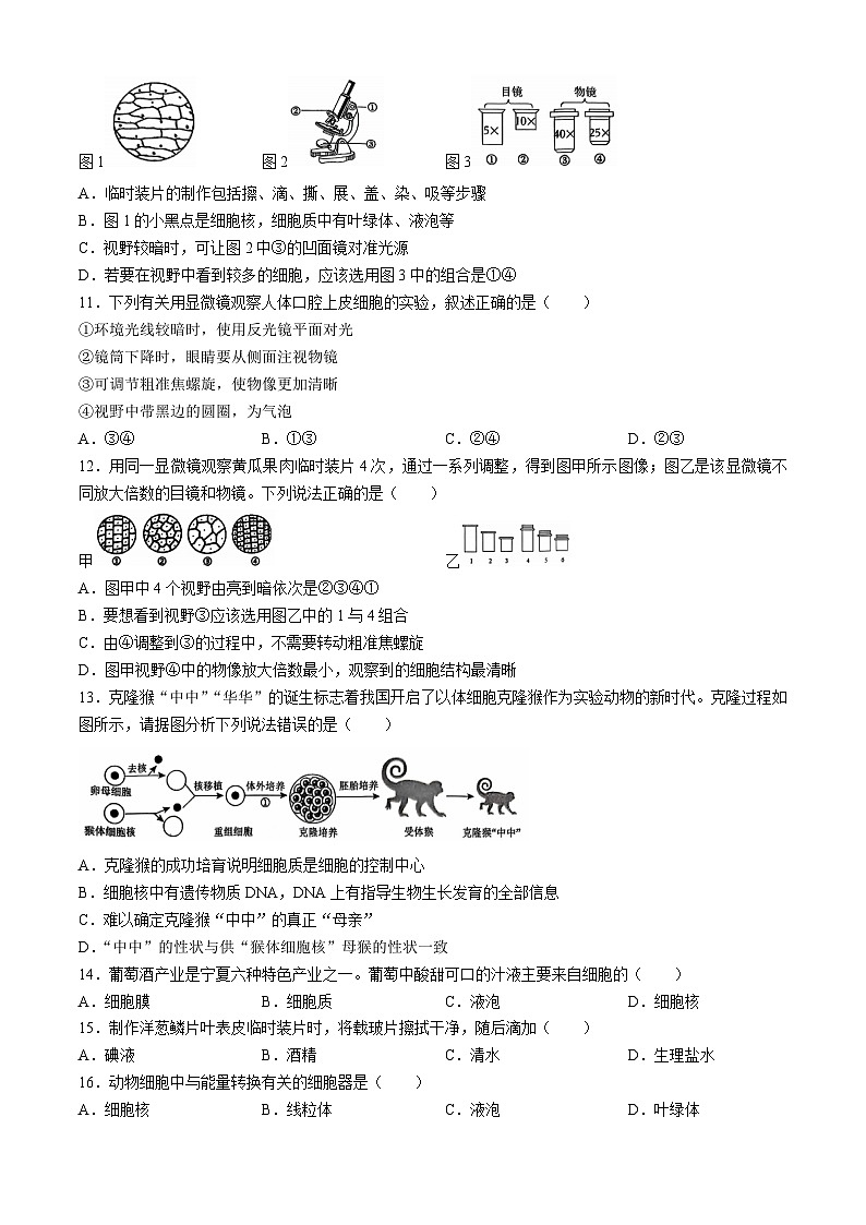 山东省聊城市聊城教育联盟共同体2024-2025学年七年级上学期9月月考生物试题02