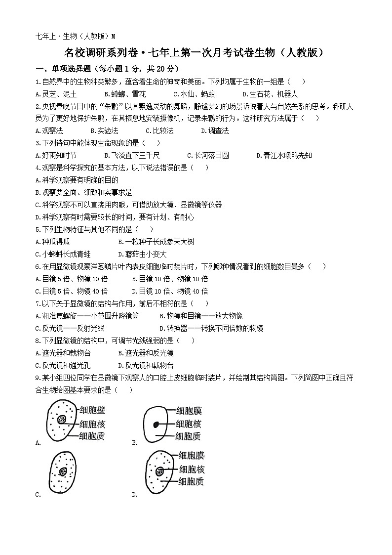 吉林省吉林市江城中学2024-2025学年七年级上学期第一次月考生物试卷(无答案)第1页