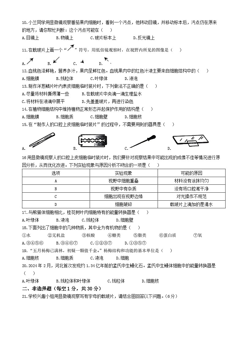 吉林省吉林市江城中学2024-2025学年七年级上学期第一次月考生物试卷(无答案)第2页