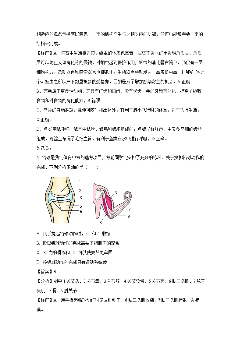 [生物][期末]河南省漯河市召陵区2023-2024学年八年级上学期期末试题(解析版)第3页