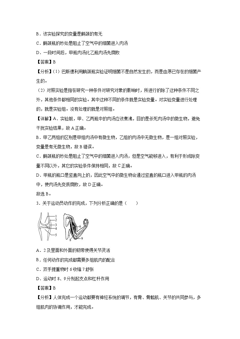 [生物][期中]湖南省2024-2025学年八年级上学期期中冲刺卷01(解析版)第2页