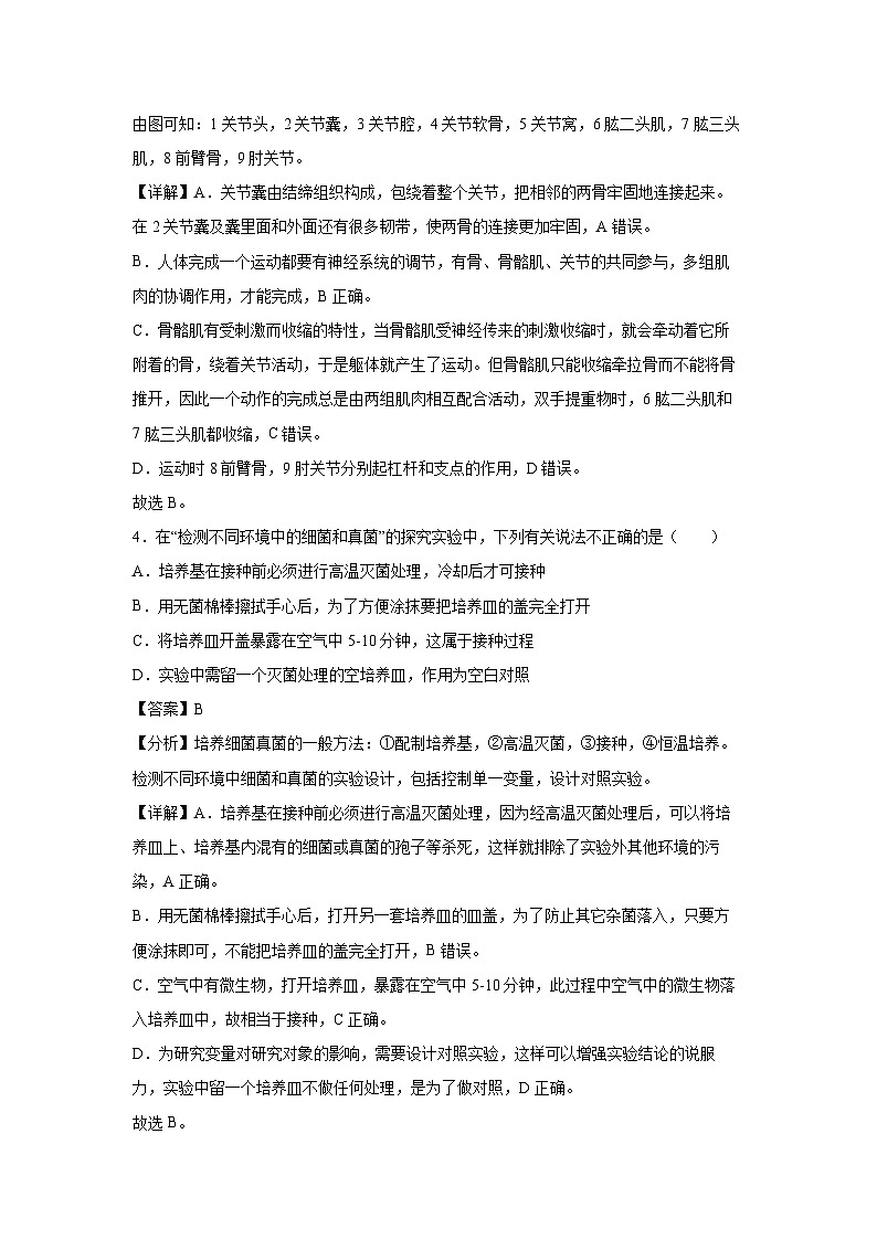 [生物][期中]湖南省2024-2025学年八年级上学期期中冲刺卷01(解析版)第3页