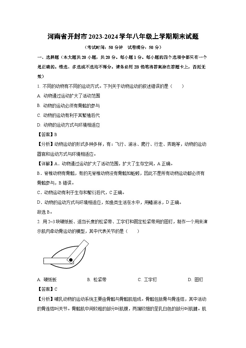 [生物][期末]河南省开封市2023-2024学年八年级上学期期末试题(解析版)01