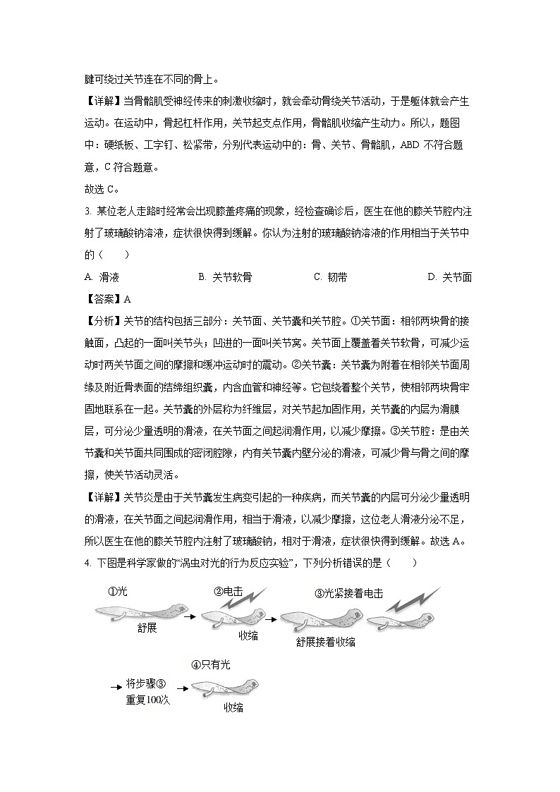 [生物][期末]河南省开封市2023-2024学年八年级上学期期末试题(解析版)02