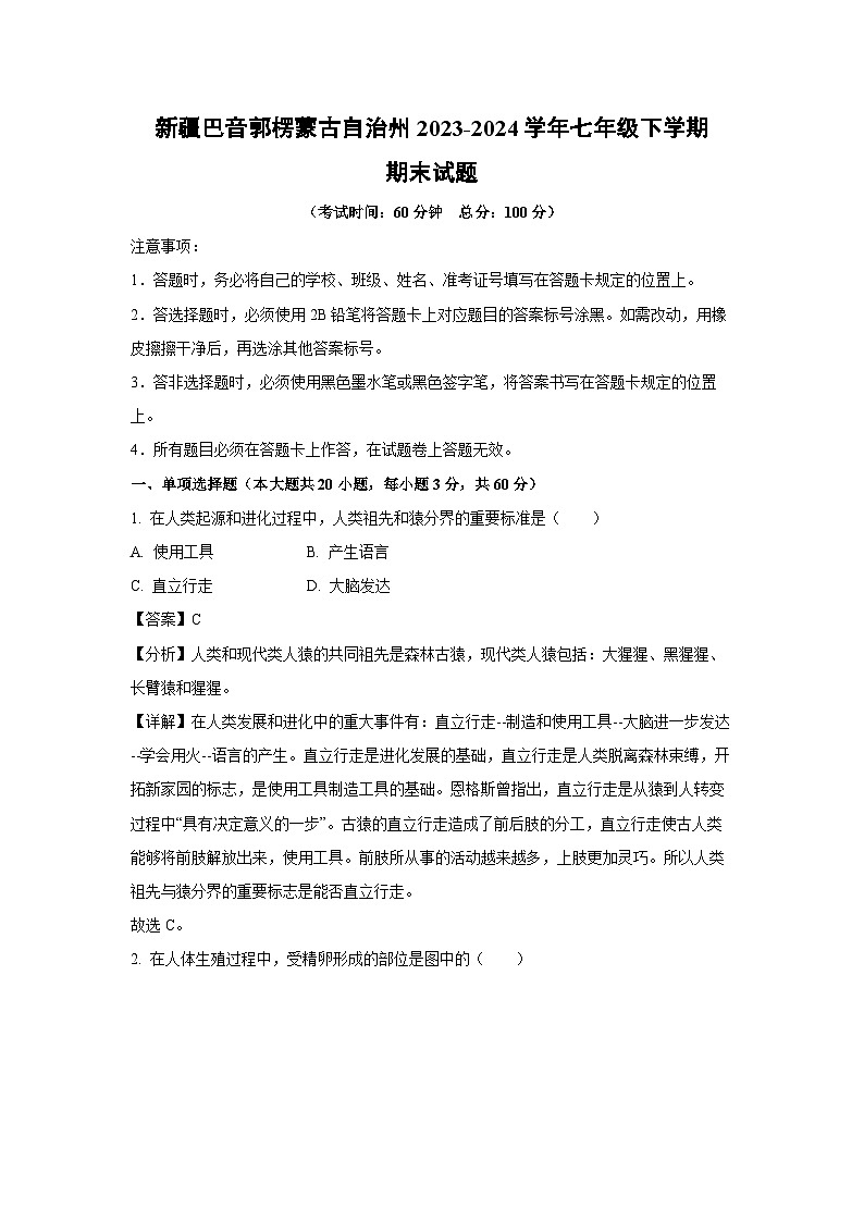 [生物][期末]新疆巴音郭楞蒙古自治州2023-2024学年七年级下学期期末试题(解析版)第1页