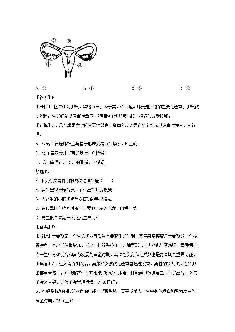 [生物][期末]新疆巴音郭楞蒙古自治州2023-2024学年七年级下学期期末试题(解析版)第2页