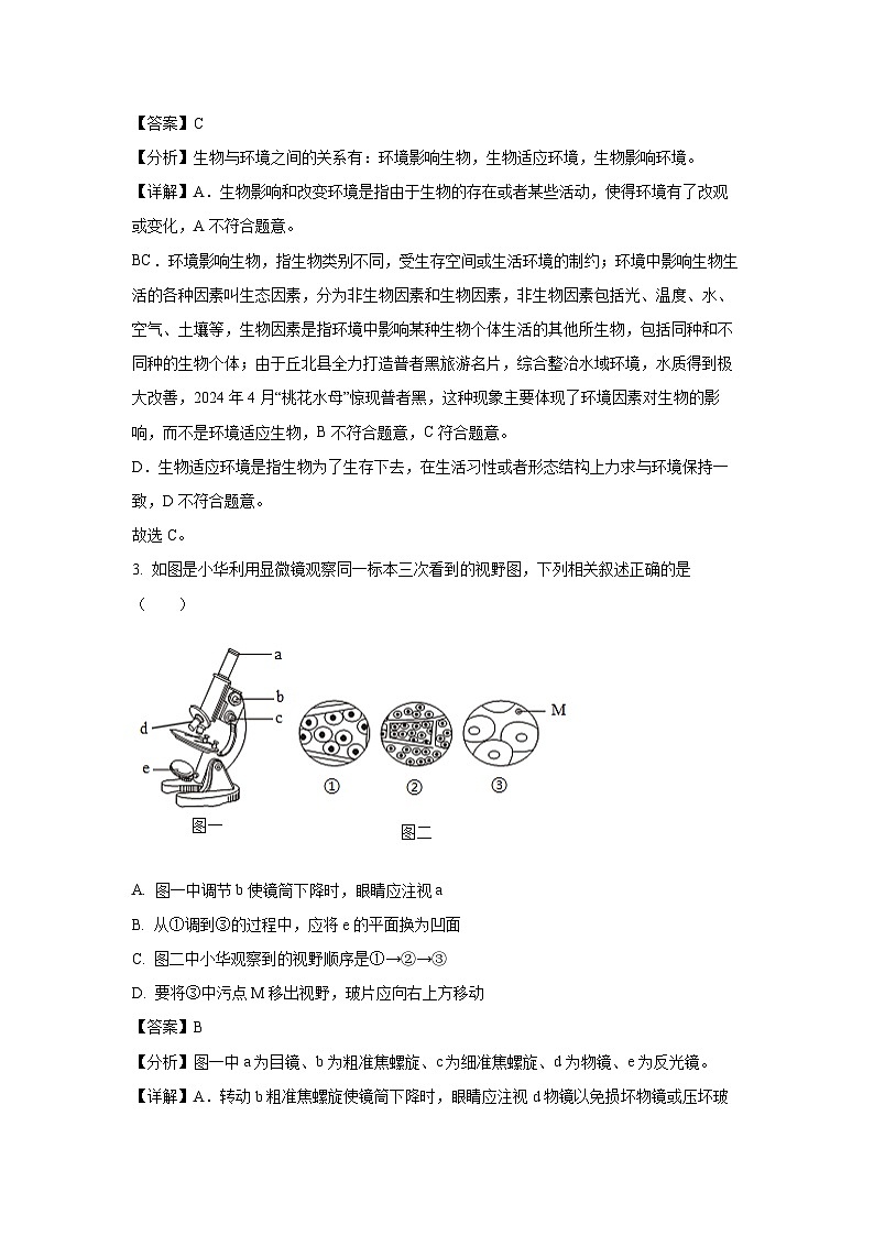 [生物][期末]云南省文山州2023-2024学年七年级下学期期末试题(解析版)第2页