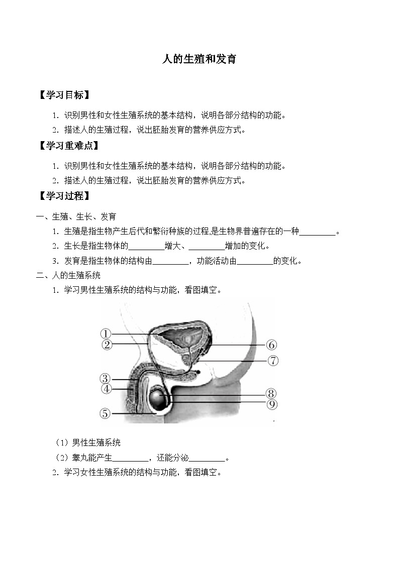 北师大版生物八年级上册19.1人的生殖和发育_学案01