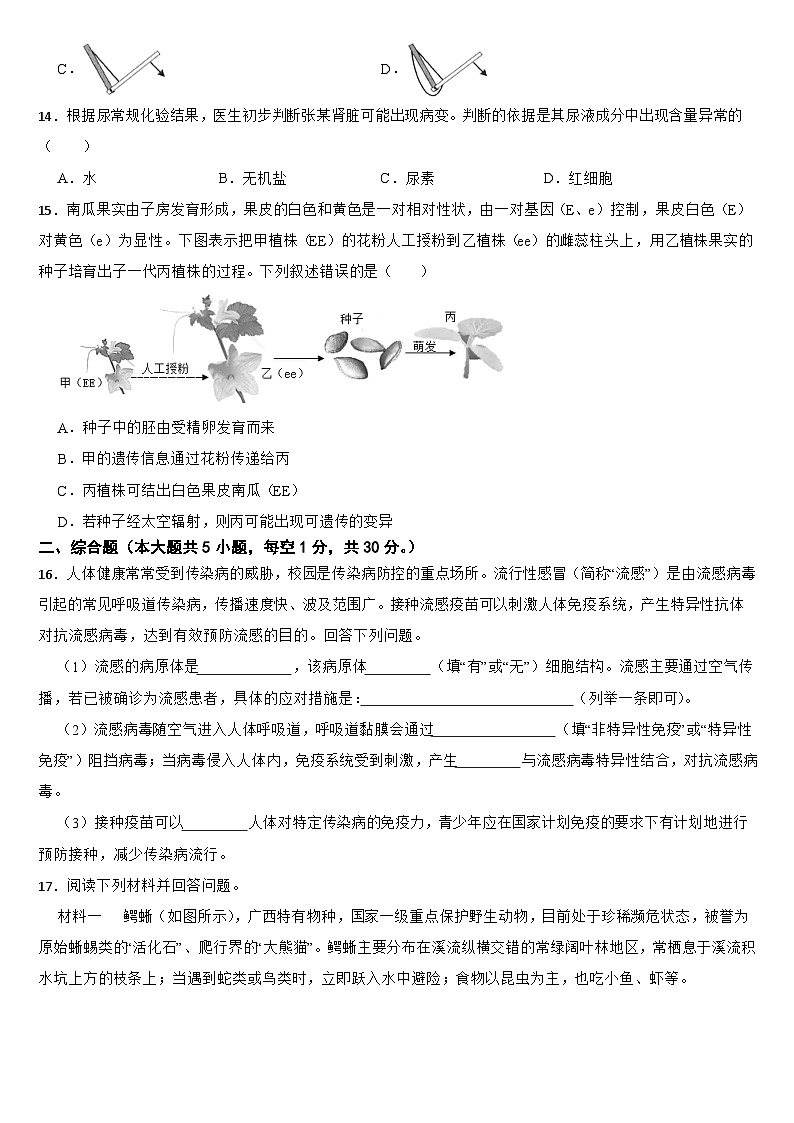广西2024年中考生物试卷【附真题答案】第3页