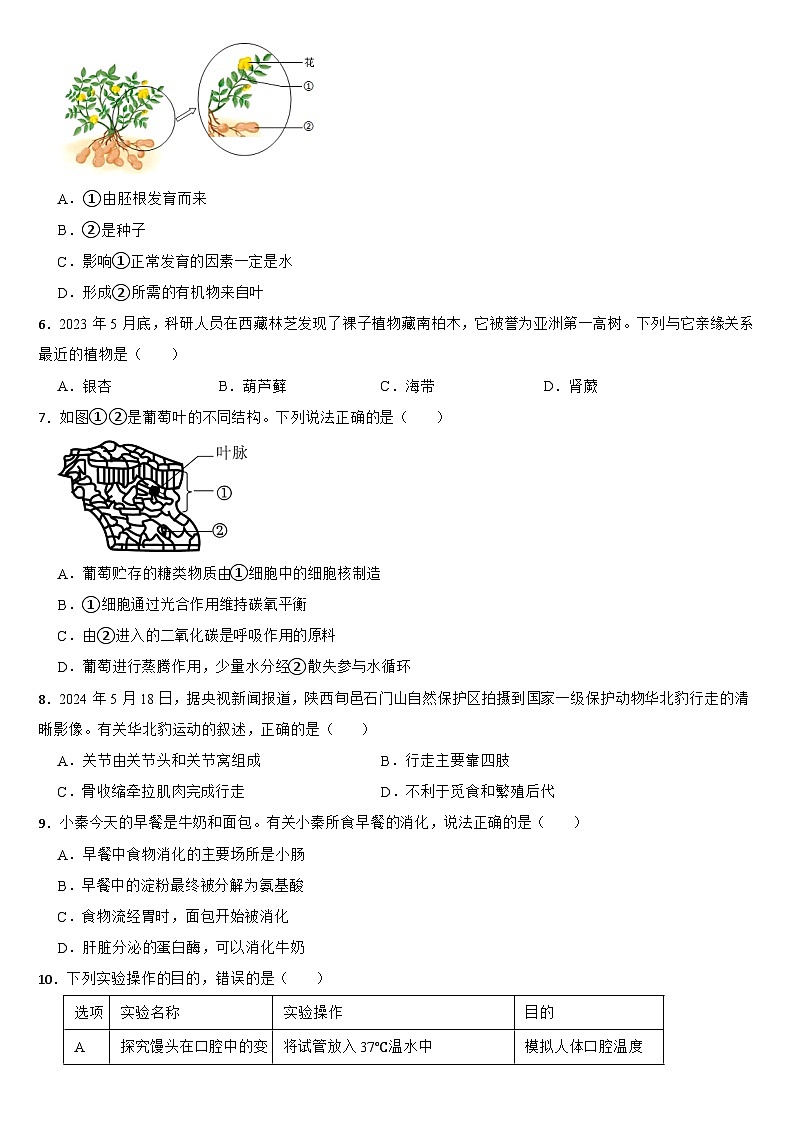 陕西省2024年中考真题生物试卷（B卷）【附真题答案】第2页