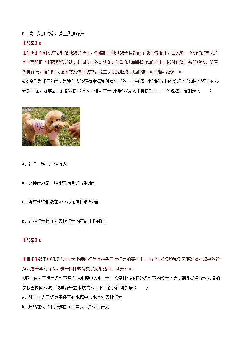 第一次月考B卷（全解全析）第3页