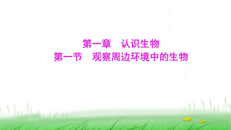 人教版七年级生物上册第一单元第一章第一节观察周边环境中的生物课件第1页