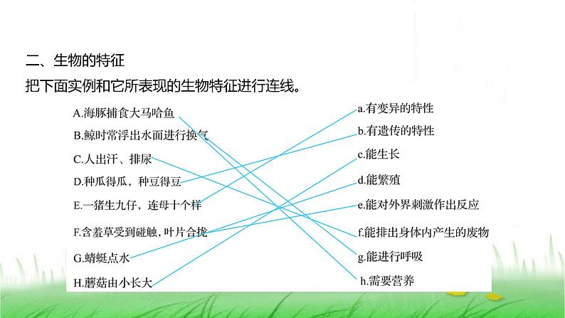 人教版七年级生物上册第一单元第一章第二节生物的特征课件第3页