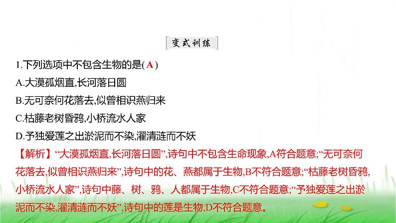 人教版七年级生物上册第一单元第一章第二节生物的特征课件第8页