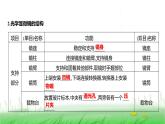 人教版七年级生物上册第一单元第二章第一节学习使用显微镜课件