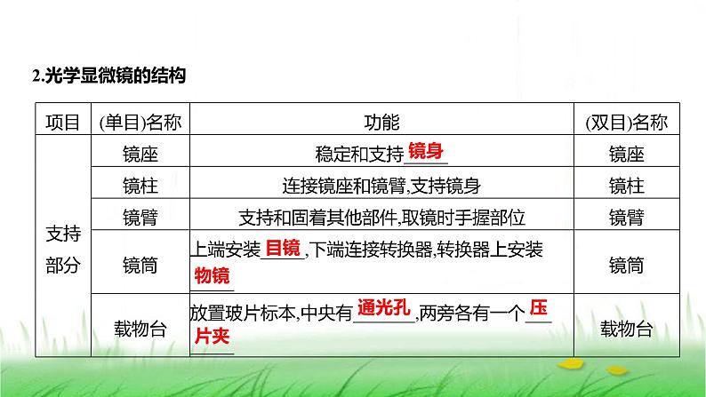 人教版七年级生物上册第一单元第二章第一节学习使用显微镜课件03