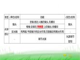 人教版七年级生物上册第一单元第二章第一节学习使用显微镜课件