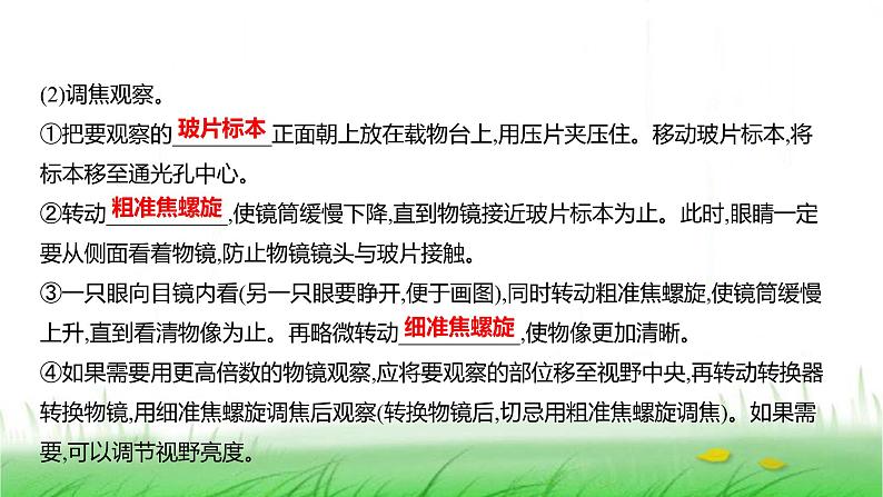 人教版七年级生物上册第一单元第二章第一节学习使用显微镜课件07