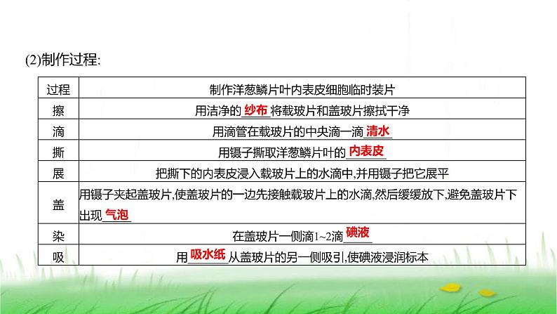 人教版七年级生物上册第一单元第二章第二节植物细胞课件第4页