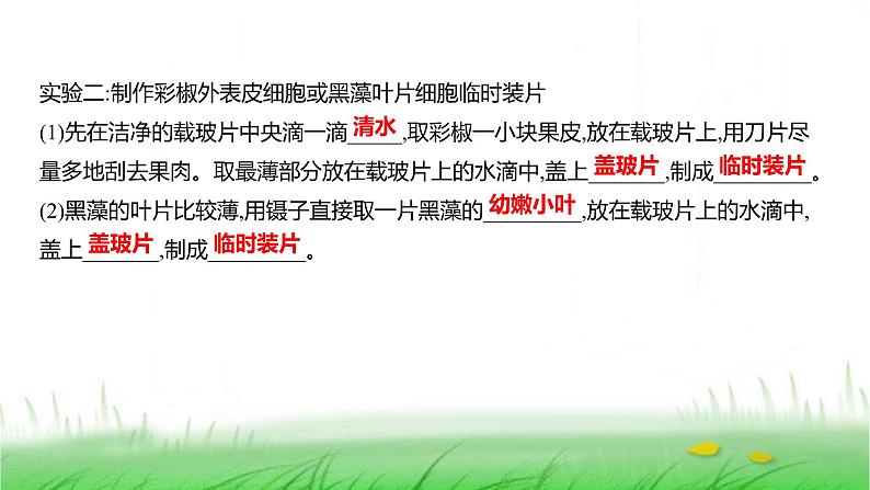 人教版七年级生物上册第一单元第二章第二节植物细胞课件第5页