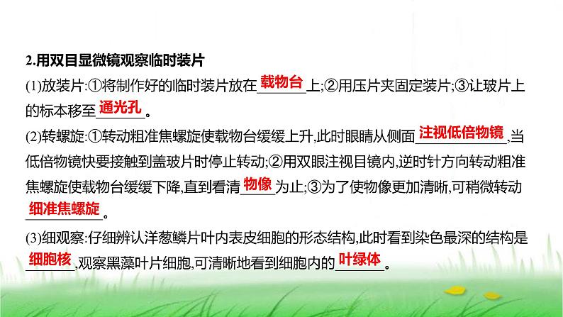 人教版七年级生物上册第一单元第二章第二节植物细胞课件第6页