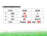 人教版七年级生物上册第一单元第二章第三节动物细胞课件
