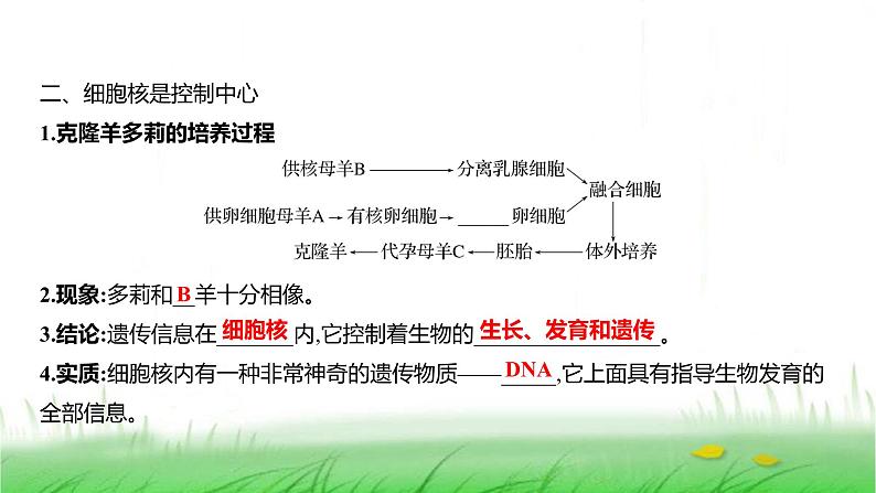 人教版七年级生物上册第一单元第二章第四节细胞的生活课件04