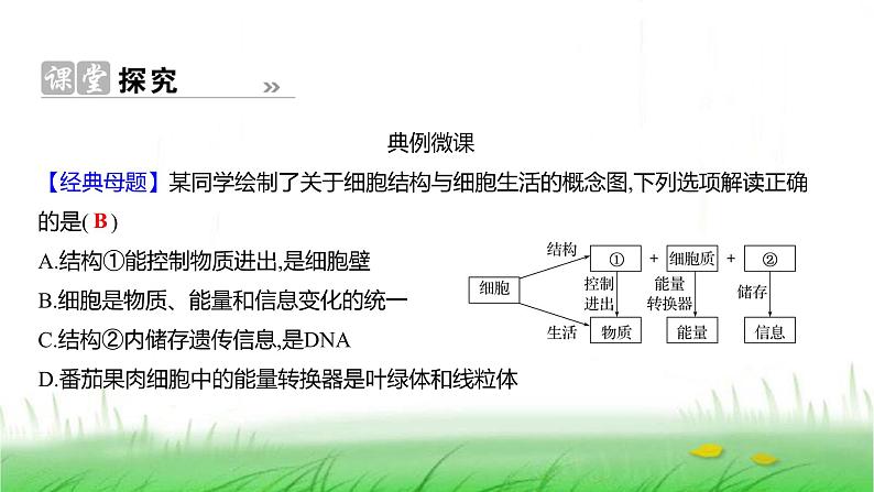 人教版七年级生物上册第一单元第二章第四节细胞的生活课件06