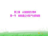 人教版七年级生物上册第一单元第三章第一节细胞通过分裂产生新细胞课件