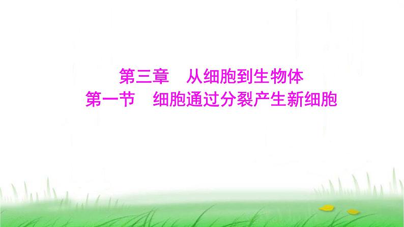 人教版七年级生物上册第一单元第三章第一节细胞通过分裂产生新细胞课件01