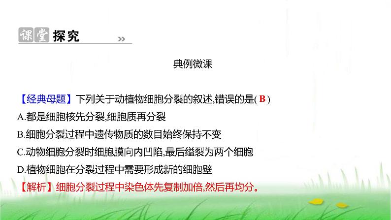 人教版七年级生物上册第一单元第三章第一节细胞通过分裂产生新细胞课件07