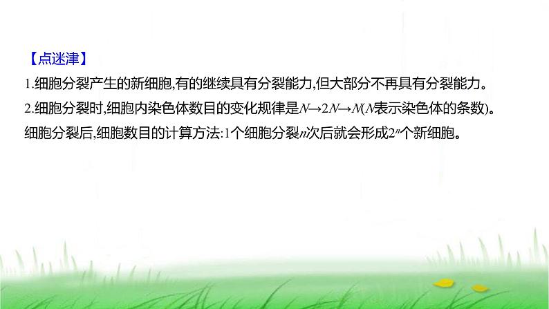 人教版七年级生物上册第一单元第三章第一节细胞通过分裂产生新细胞课件08