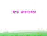 人教版七年级生物上册第一单元第三章第二节动物体的结构层次课件