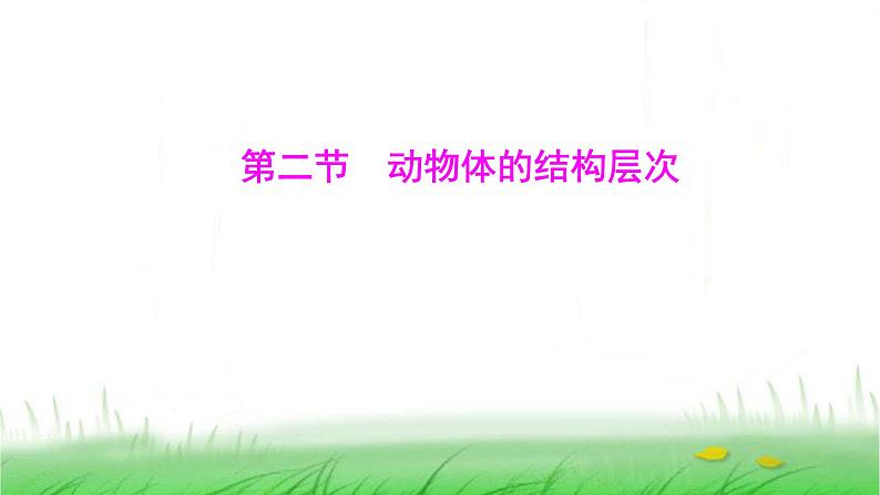 人教版七年级生物上册第一单元第三章第二节动物体的结构层次课件01