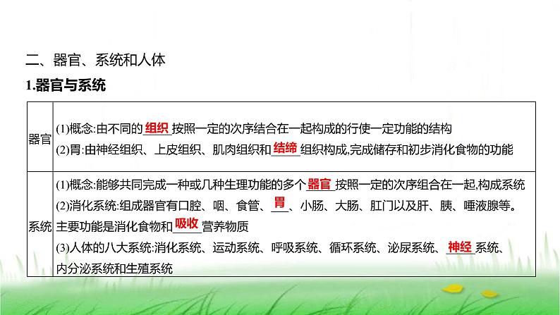 人教版七年级生物上册第一单元第三章第二节动物体的结构层次课件04