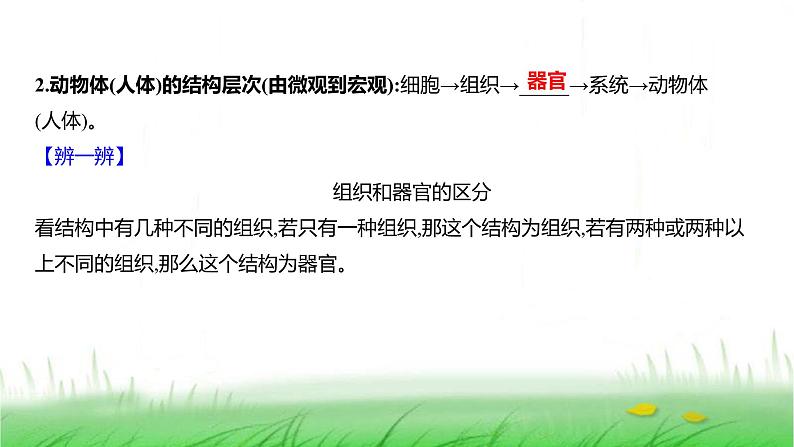 人教版七年级生物上册第一单元第三章第二节动物体的结构层次课件05