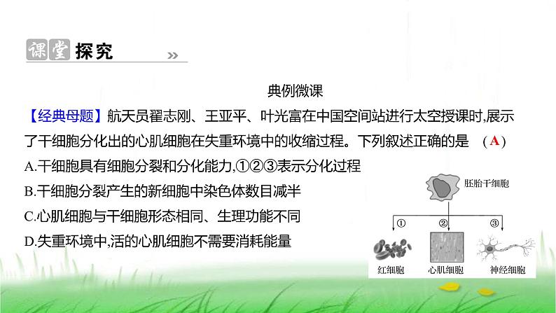 人教版七年级生物上册第一单元第三章第二节动物体的结构层次课件06