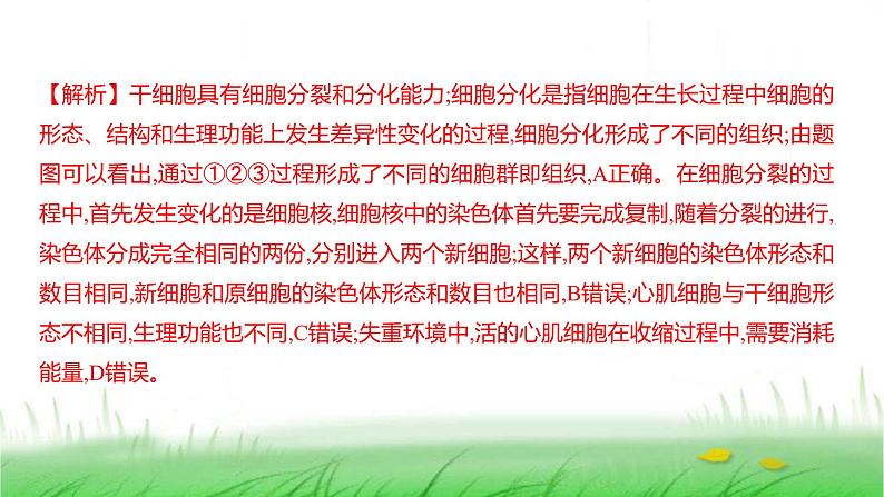 人教版七年级生物上册第一单元第三章第二节动物体的结构层次课件07