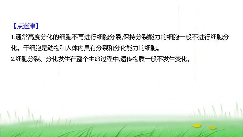 人教版七年级生物上册第一单元第三章第二节动物体的结构层次课件08