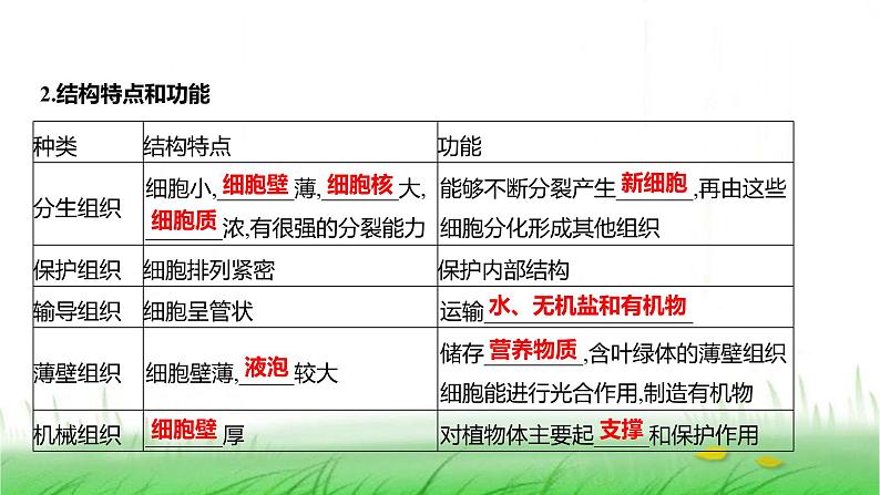 人教版七年级生物上册第一单元第三章第三节植物体的结构层次课件04