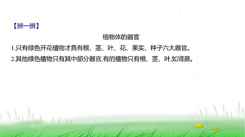 人教版七年级生物上册第一单元第三章第三节植物体的结构层次课件05