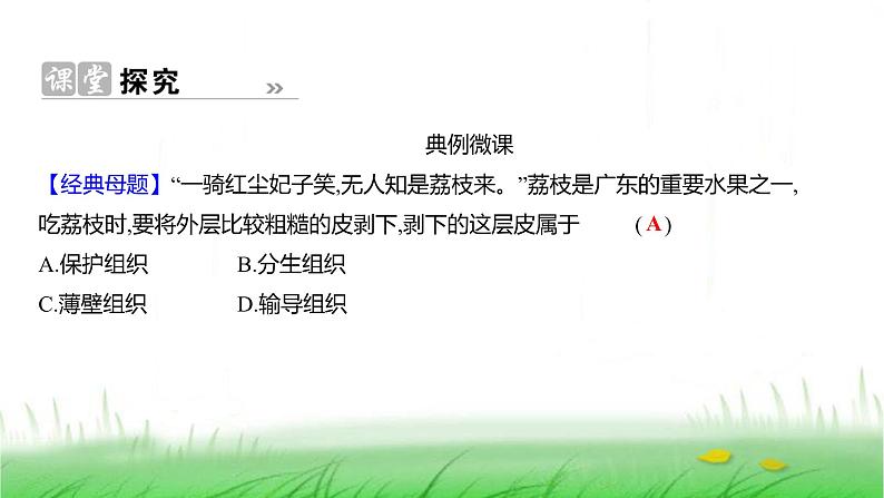 人教版七年级生物上册第一单元第三章第三节植物体的结构层次课件06